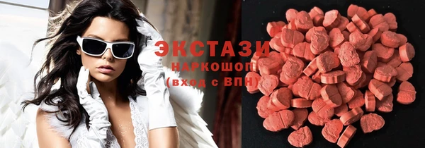 твердый Сосновый Бор