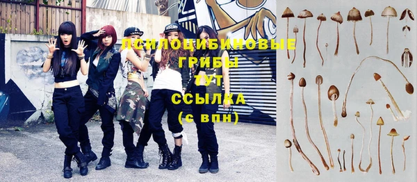 прущая мука Балахна