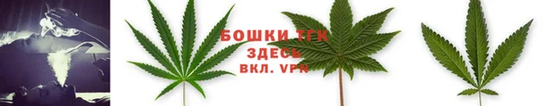 шишки Сосновка
